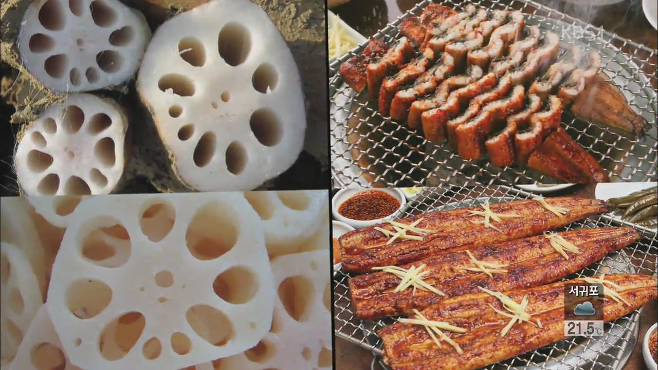 ‘산 속의 장어’ 마…갱년기에도 효능