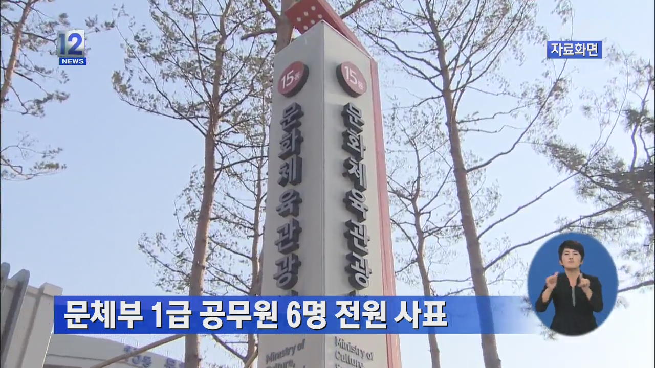 문체부 1급 공무원 6명 전원 사표