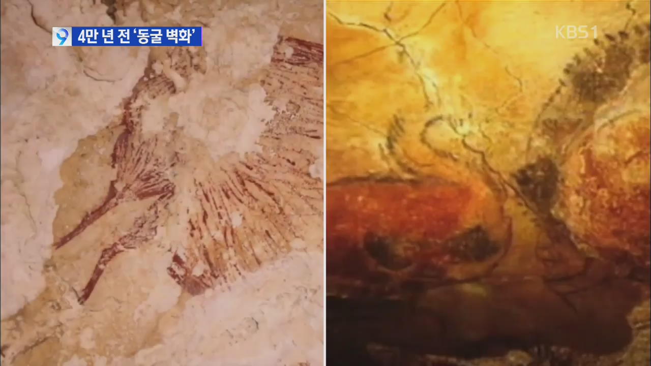 인니서 4만 년 전 ‘동굴벽화’…미술 발상지 논란