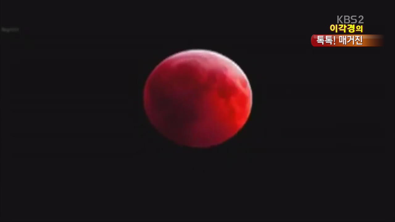 [톡톡! 매거진] 붉은 달 보셨나요?