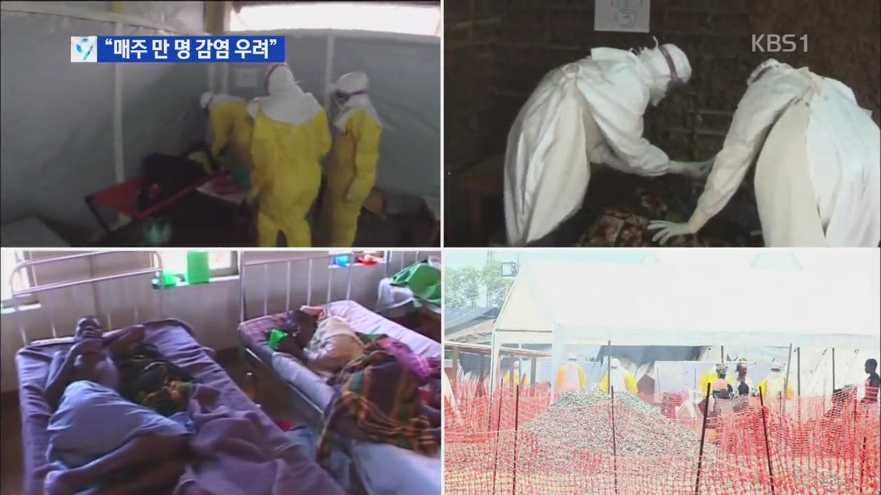 “에볼라 치사율 70%…매주 만 명 감염될 수도”