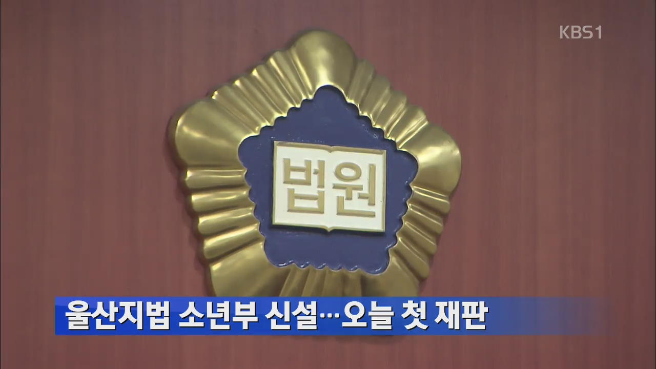 울산지법 소년부 신설…오늘 첫 재판