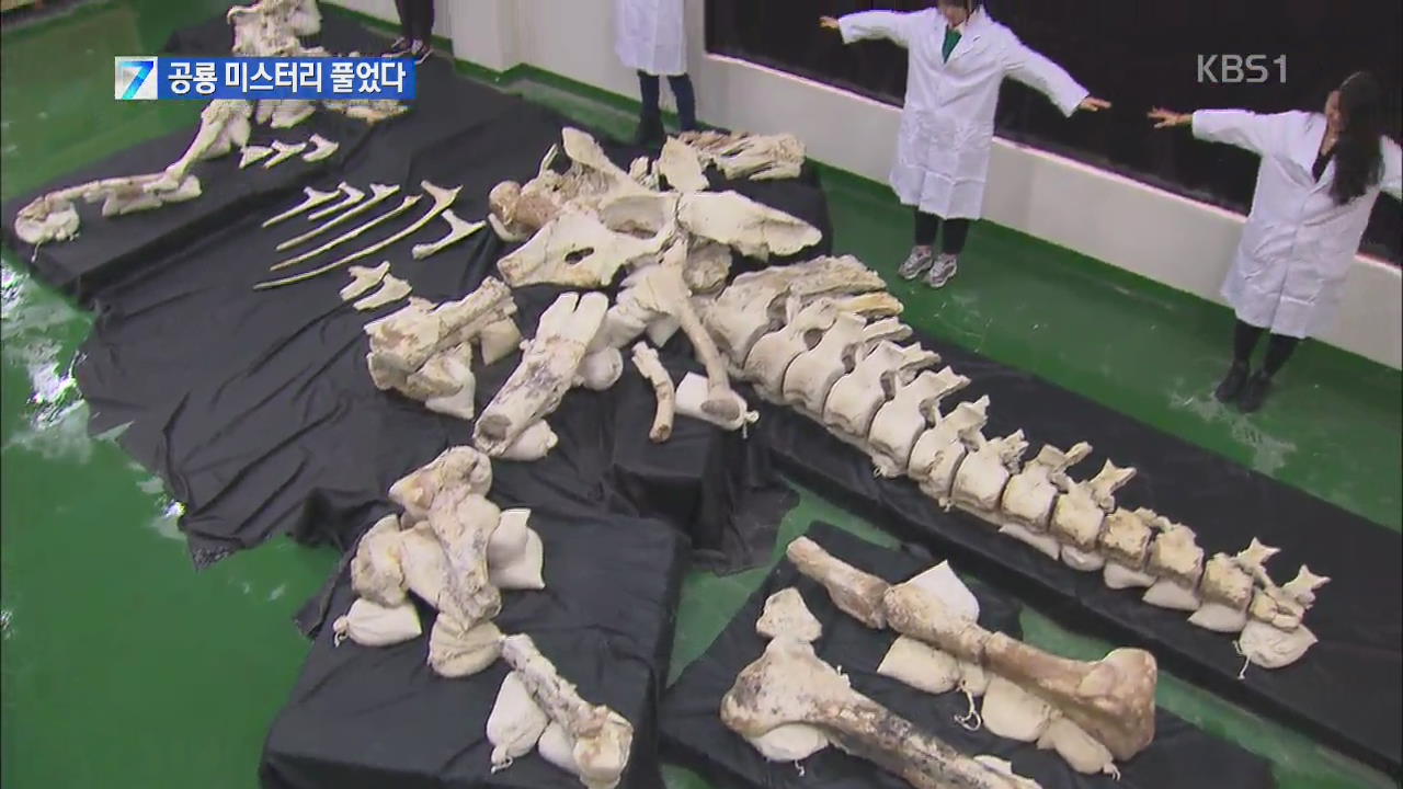 ‘50년 공룡 미스터리’ 데이노케이루스 복원 성공