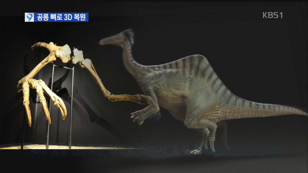 ‘무서운 손’ 공룡 3D 복원…50년 수수께끼 풀었다!