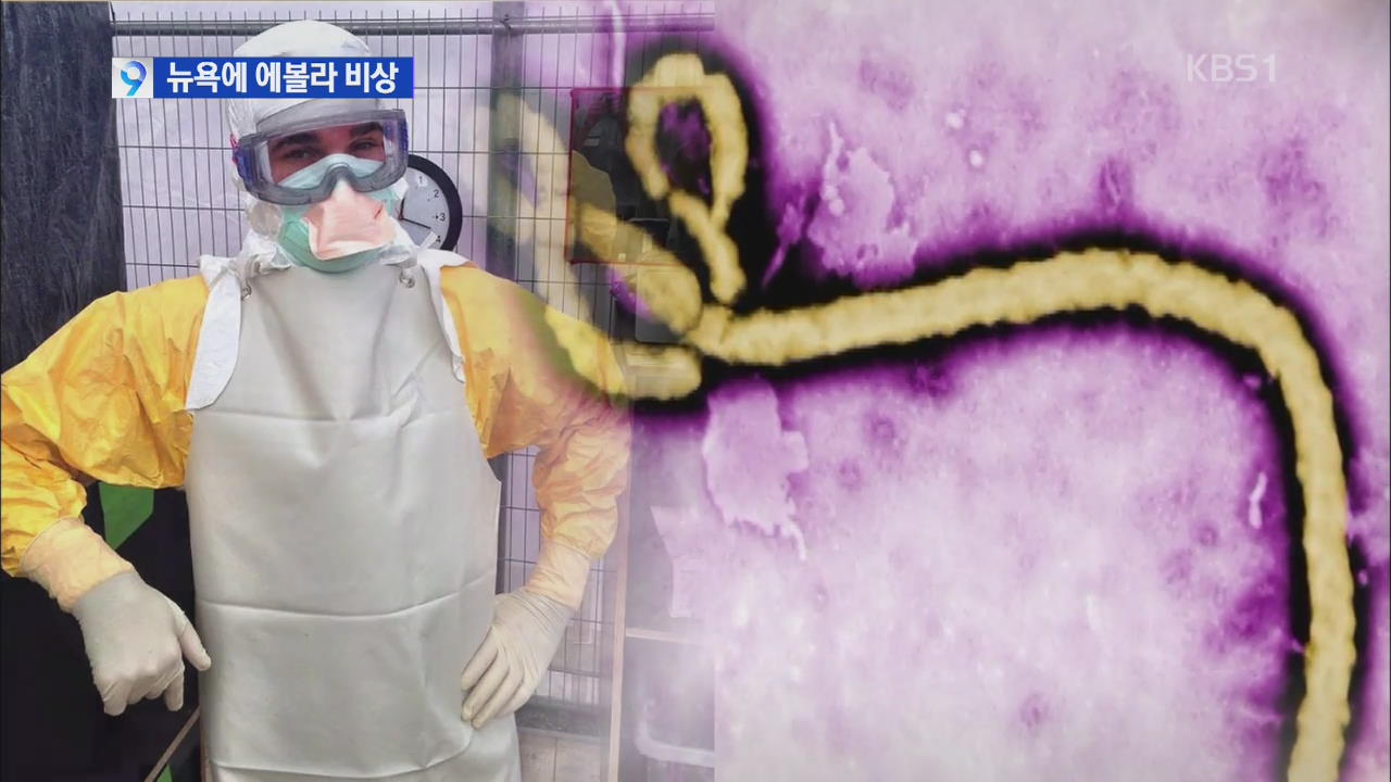 뉴욕서 첫 에볼라 확진 환자…방역당국 초비상