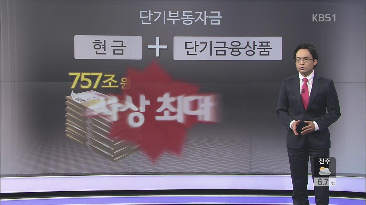 떠도는 돈 750조…‘돈맥경화’