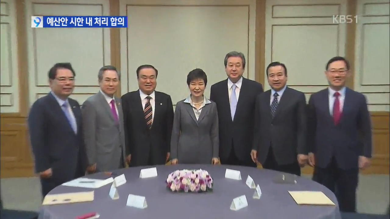 박 대통령-여야 대표 “예산안 법정 시한내 처리”