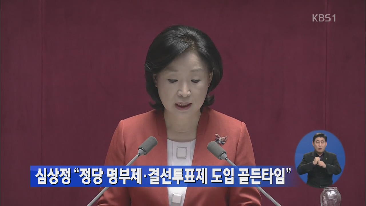 심상정 “정당 명부제·결선투표제 도입 골든타임”