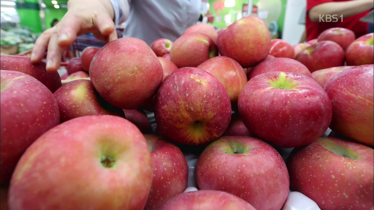 [인터넷 광장] 사과 매일 한 개씩 먹으면 콜레스테롤 낮아져