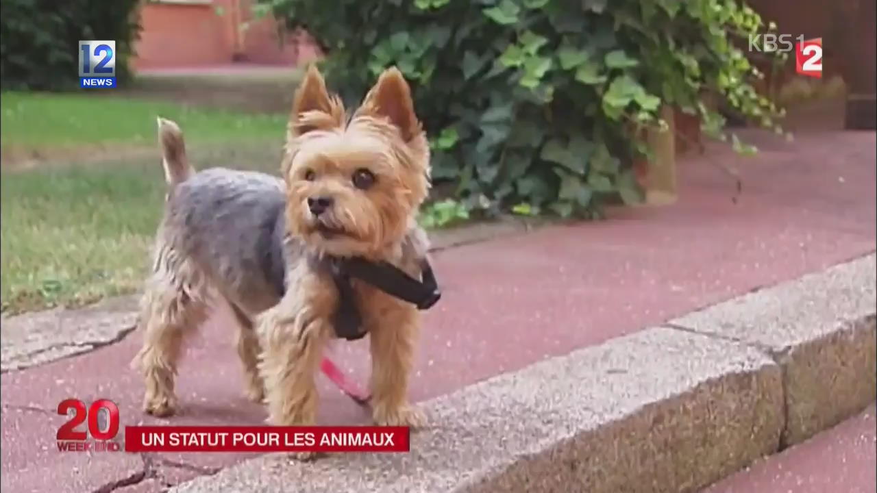 프랑스, 애완동물 법적 위상 높여