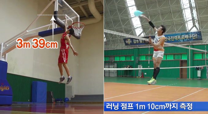 농구 vs 배구, 누가 더 높이? ‘점프의 세계’