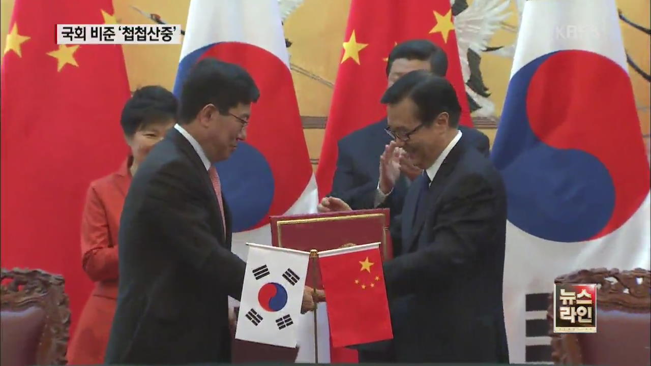 타결됐지만…한·중 FTA 비준 동의 ‘첩첩산중’