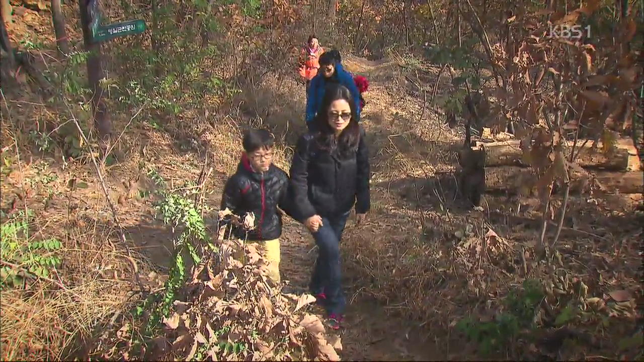 ‘서울 둘레길’ 전 구간 개통…아늑한 휴식 선사