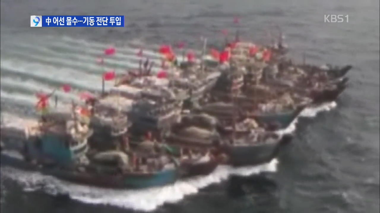 불법 조업 중국 어선 몰수·폐기 추진…특공대도 투입