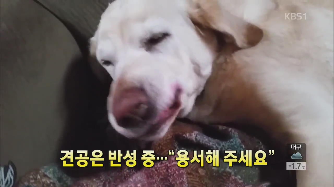 [세상의 창] 견공은 반성 중…“용서해 주세요”