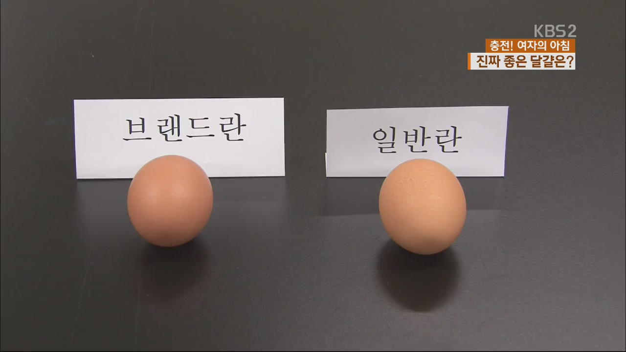 [충전 여자의 아침] 천차만별 달걀 어떻게 고를까?