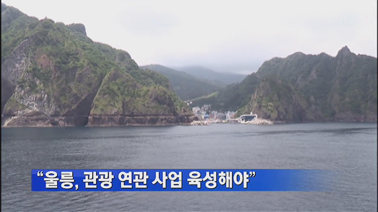 “울릉, 관광 연관 산업 육성해야”