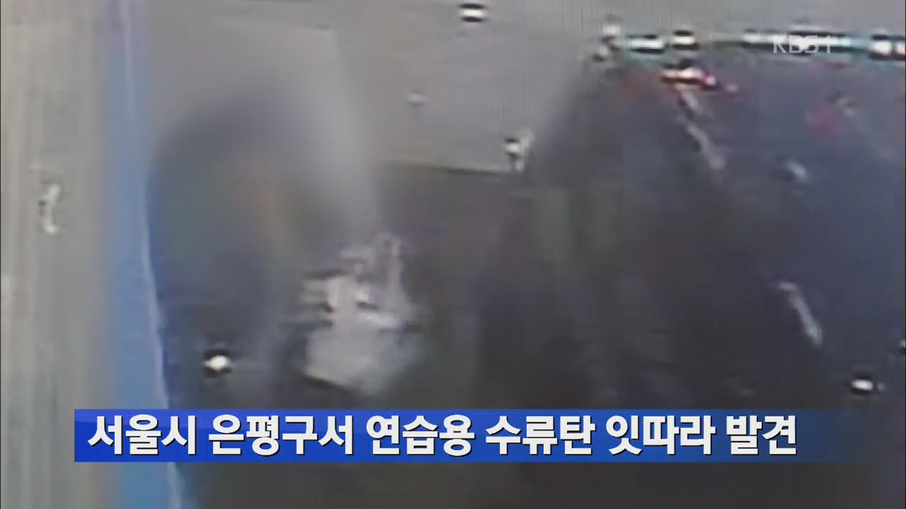 서울시 은평구서 연습용 수류탄 잇따라 발견