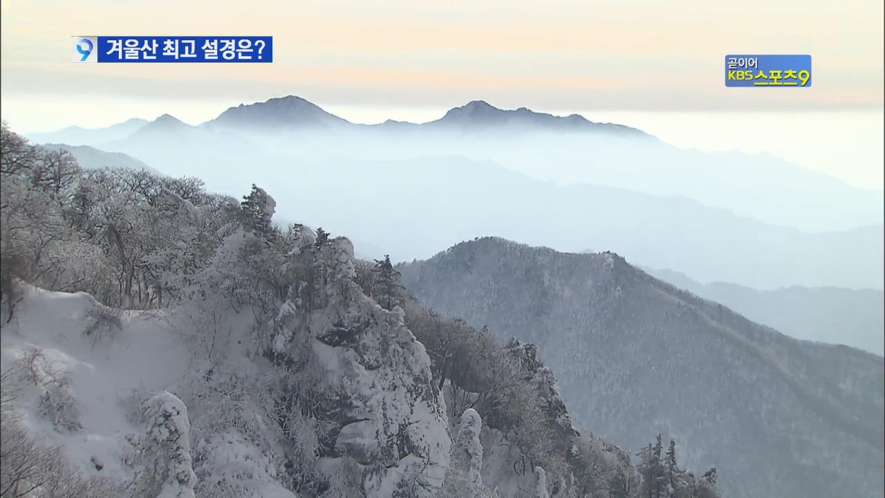 눈꽃 향연…국내 겨울산 최고 설경은? 