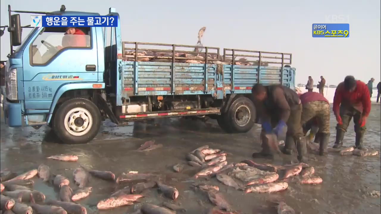 중국 ‘차간호’ 겨울 고기잡이…한 마리 6,500만 원