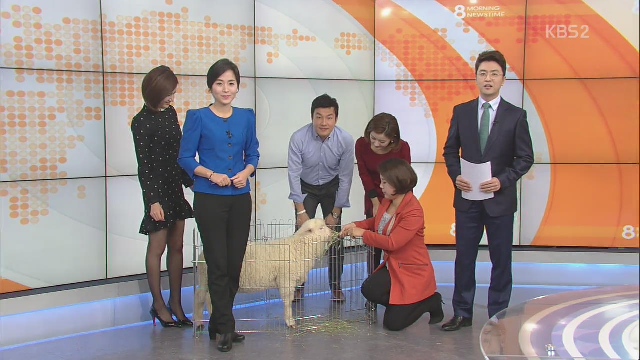 ‘을미년’ 새해 KBS스튜디오에 ‘양’이 찾아왔다?