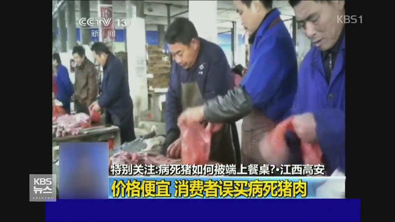 중국 장시성, 병든 돼지 유통 적발