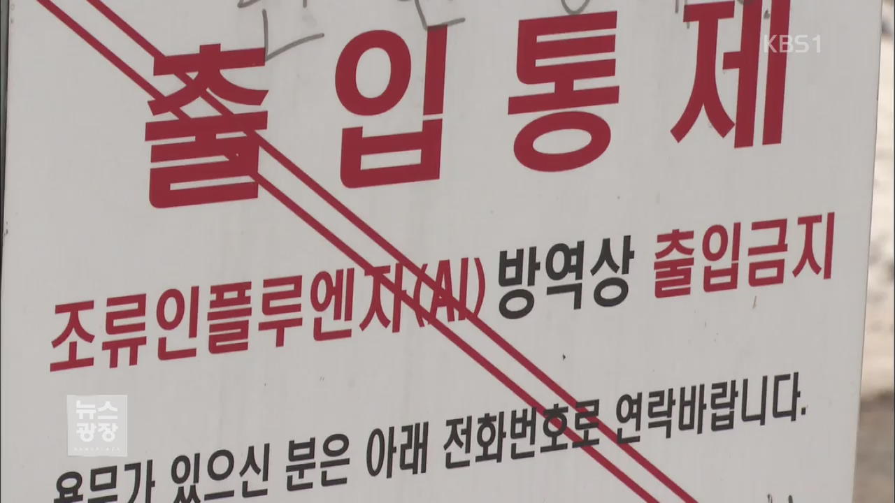 경기·충북서 ‘AI철새’ 잇따라 확인…방역 비상