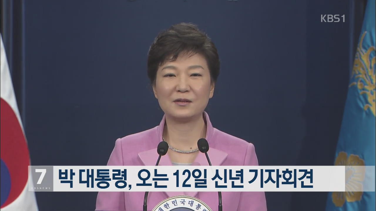 박 대통령, 오는 12일 신년 기자회견