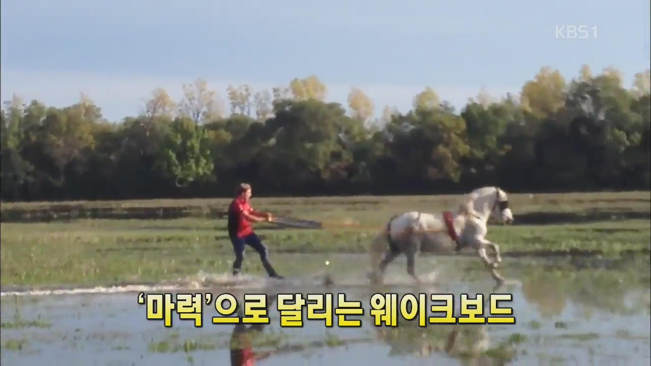 [세상의 창] ‘마력’으로 달리는 웨이크보드