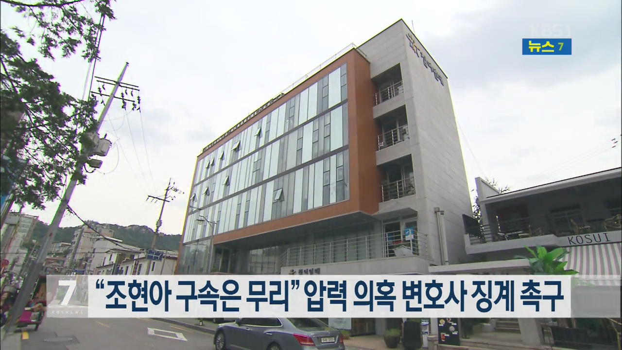 “조현아 구속은 무리” 압력 의혹 변호사 징계 촉구
