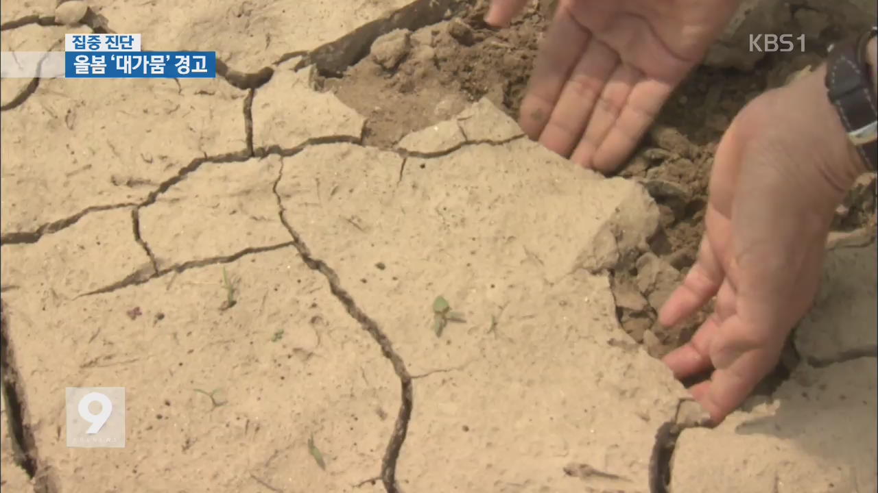 [집중진단] ② 강우량 절반…올 봄 ‘최악의 가뭄’ 경고