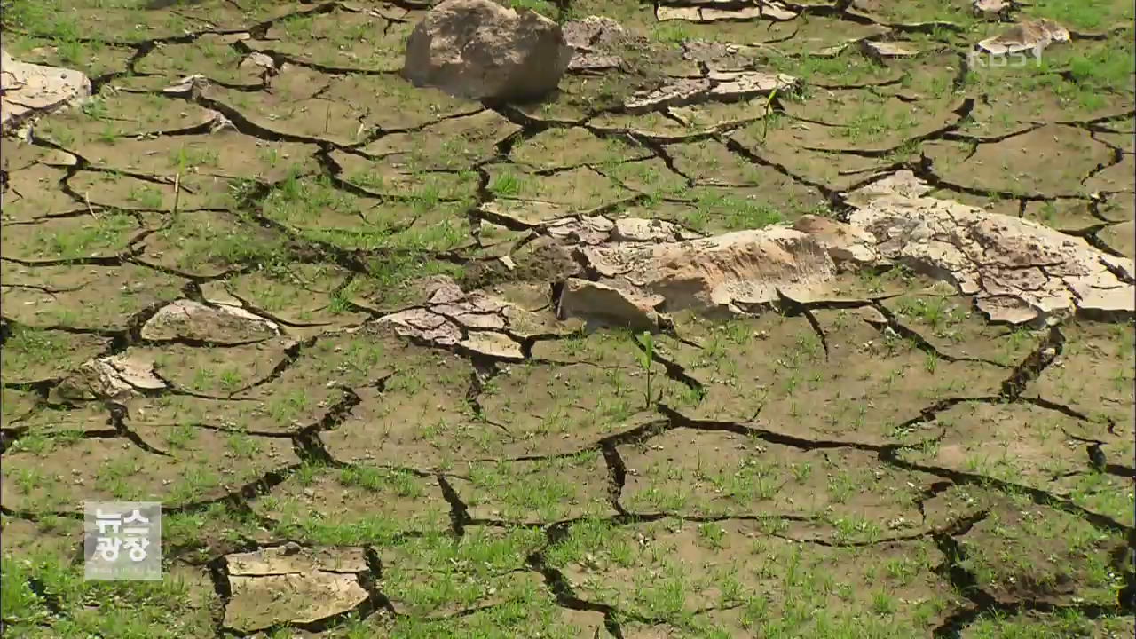 강우량 절반…2015년 한반도 대가뭄 오나?