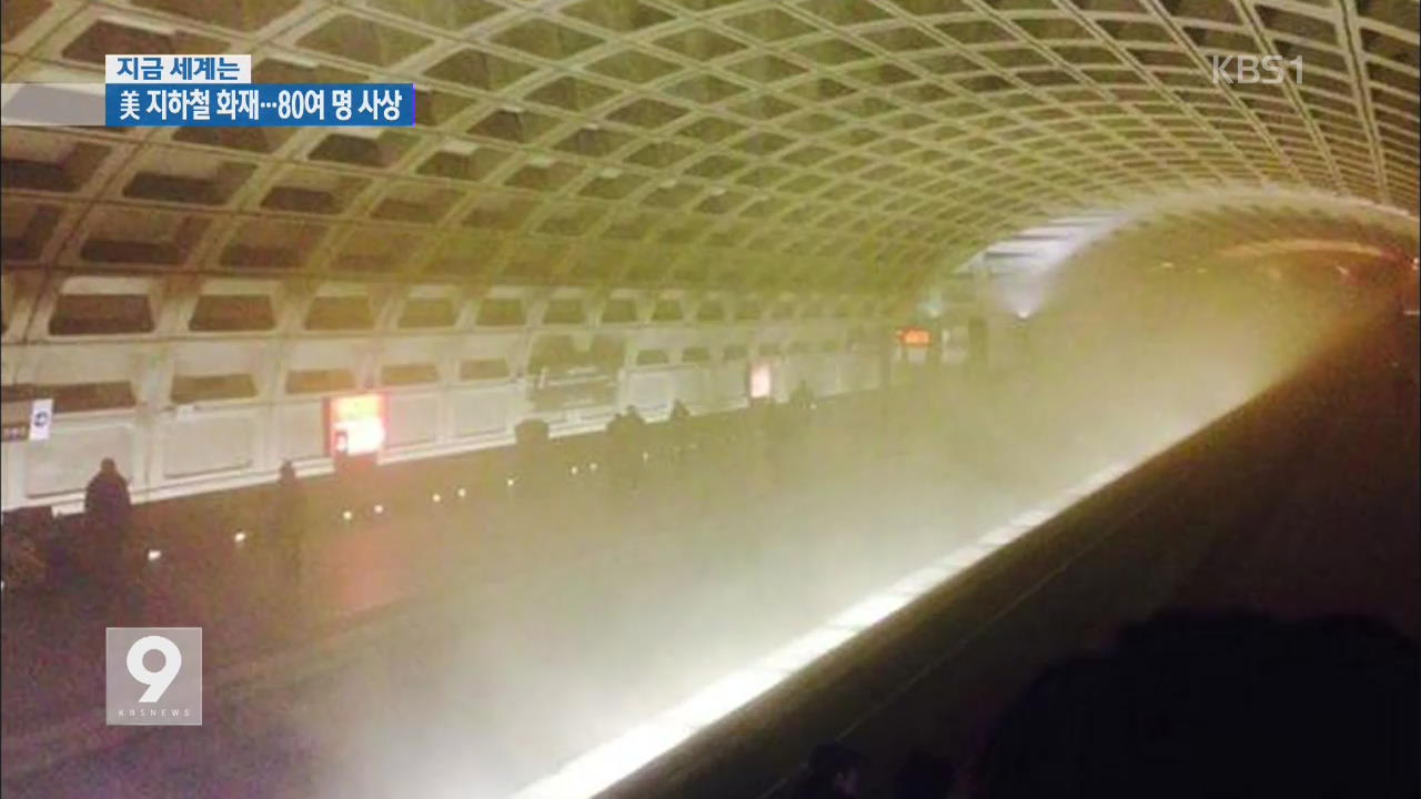 [지금 세계는] 워싱턴 지하철 연기…80여 명 사상