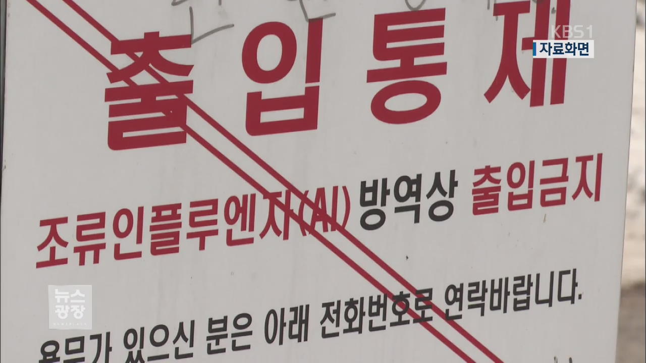 여주서 AI로 닭 대량 폐사…올들어 최대 규모 