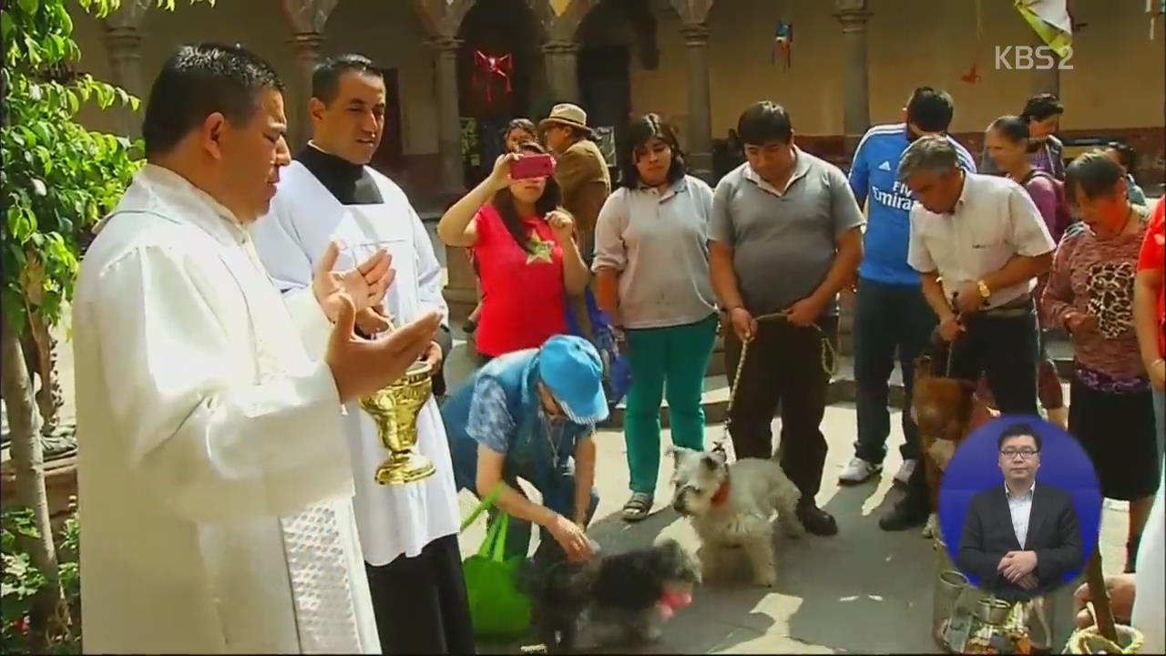 [지구촌 오늘] 멕시코 ‘동물 위한 축복 기도’ 외