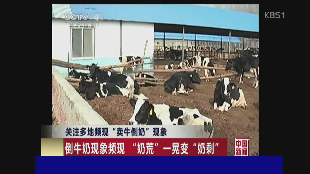 중국 유윳값 폭락…버려지는 우유