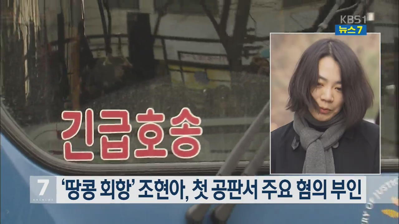 ‘땅콩회항’ 조현아, 첫 공판서 주요 혐의 부인