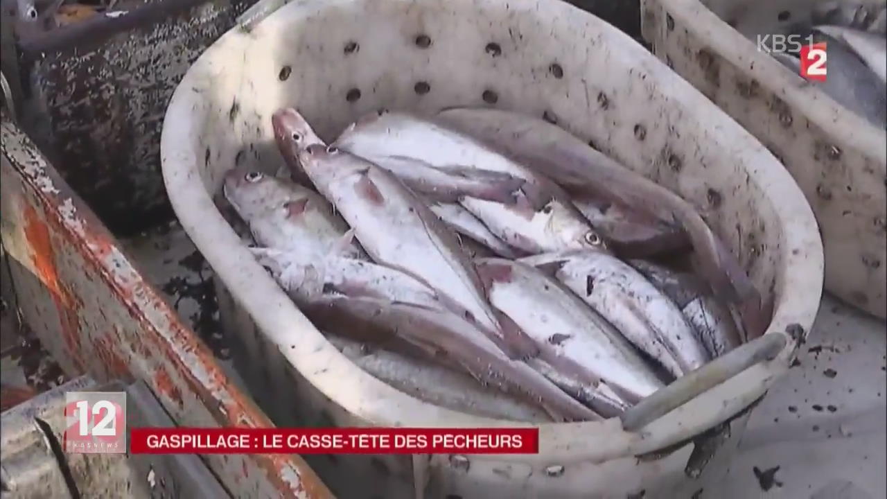 프랑스, 상품 가치 없는 생선 투척 금지