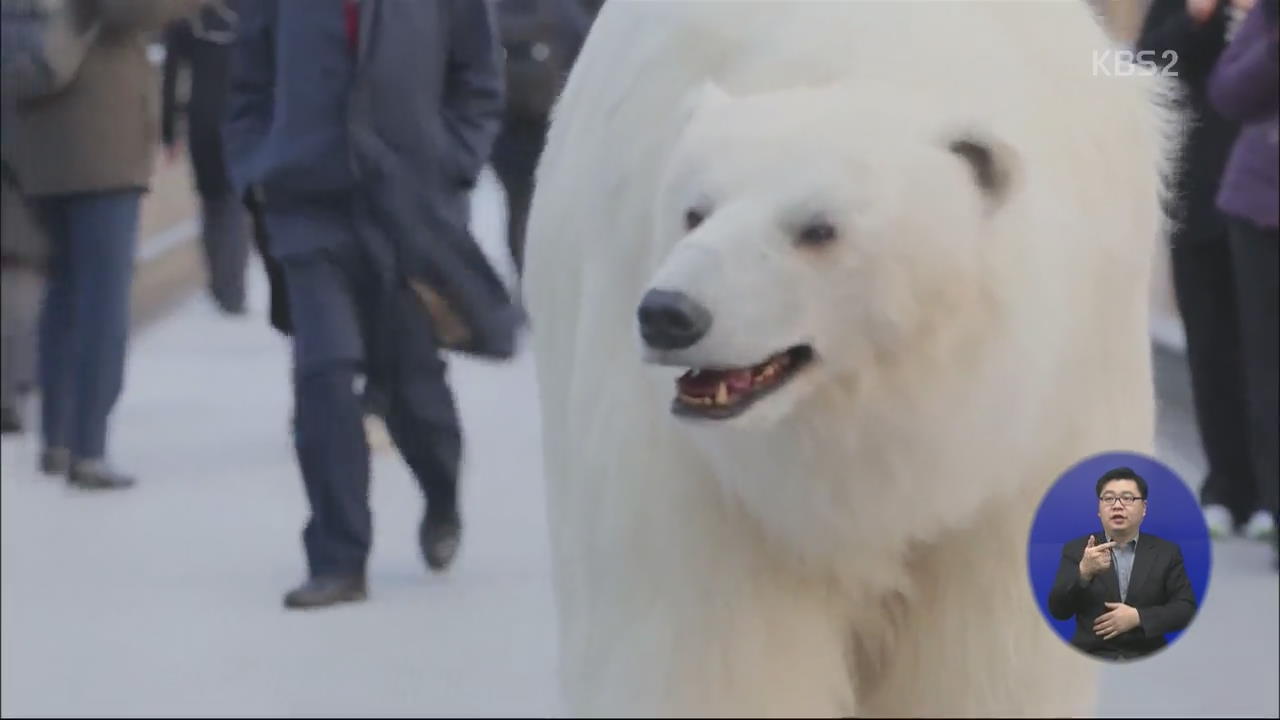 [지구촌 오늘] 런던 시내 나타난 북극곰 외