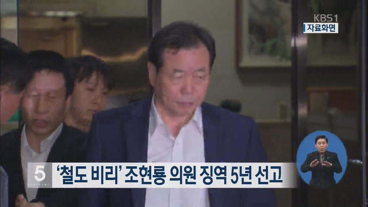 ‘철도비리’ 조현룡 의원 징역 5년 선고