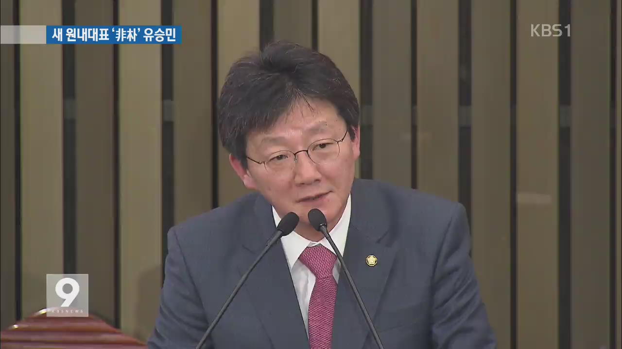 여당 원내대표 유승민 압승…‘비박계’ 지도부 장악