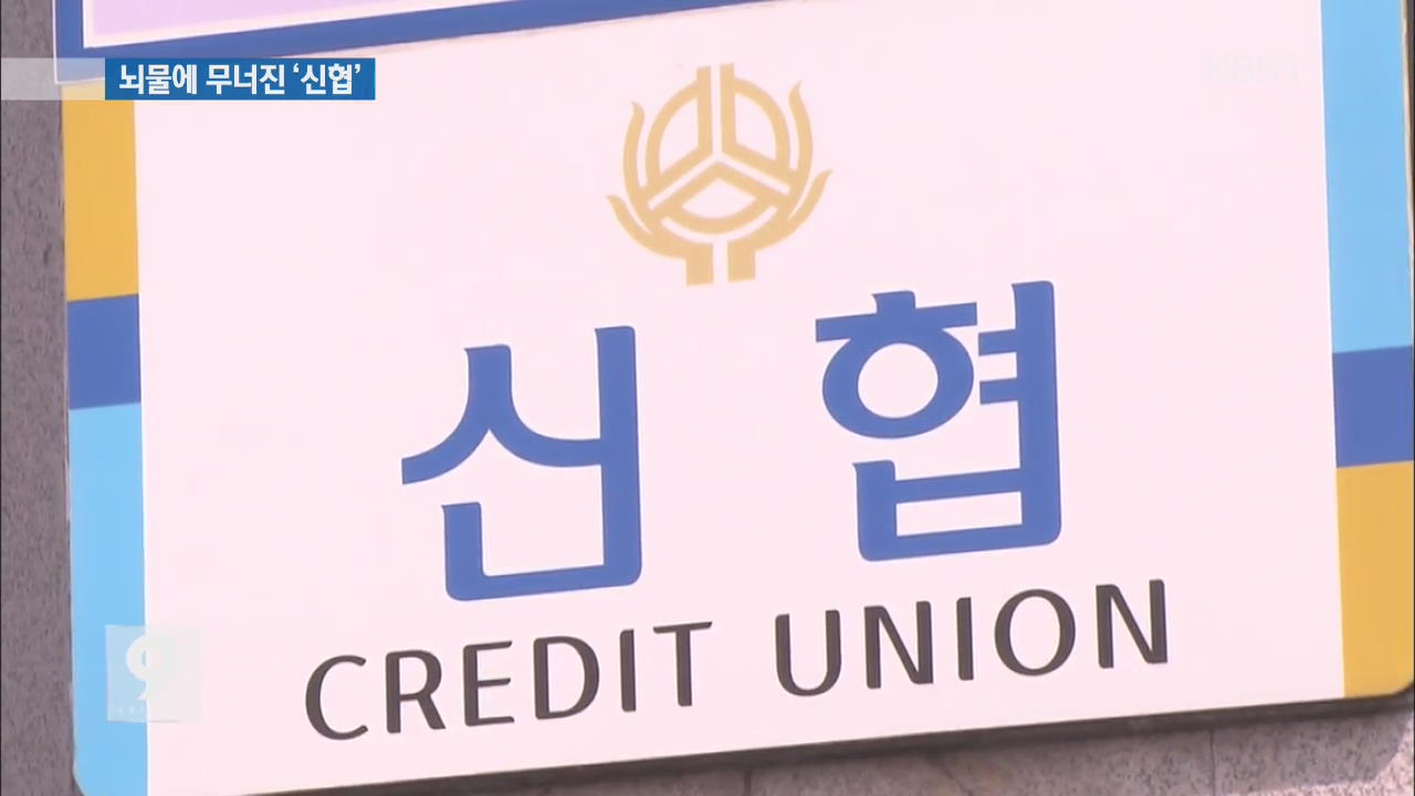 사기꾼 뇌물 받고 대출 ‘펑펑’…무너진 신협