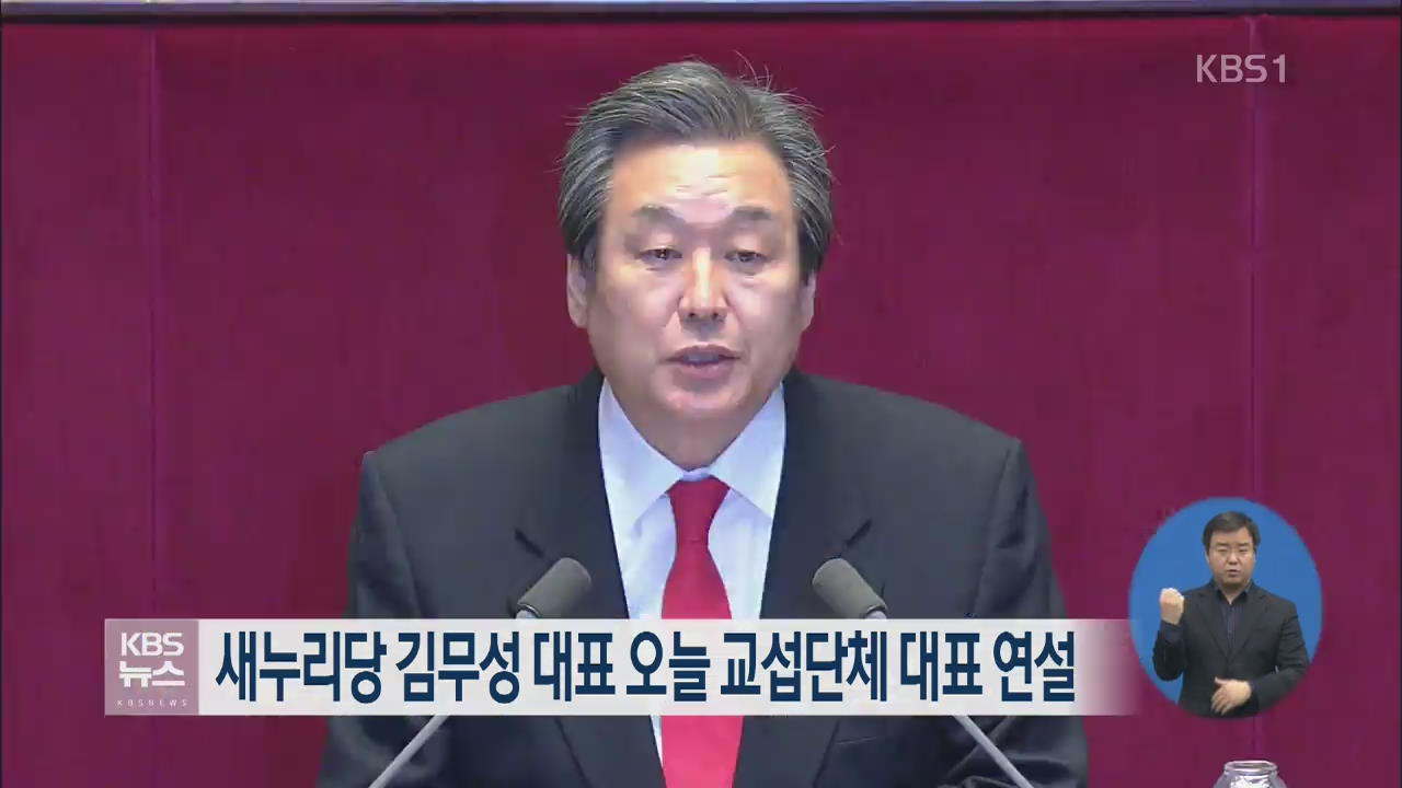 새누리당 김무성 대표, 오늘 교섭단체 대표 연설