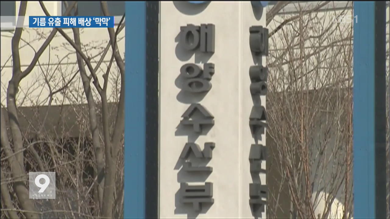 세월호 기름 유출…섬 주민 9개월째 피해 배상 ‘감감’