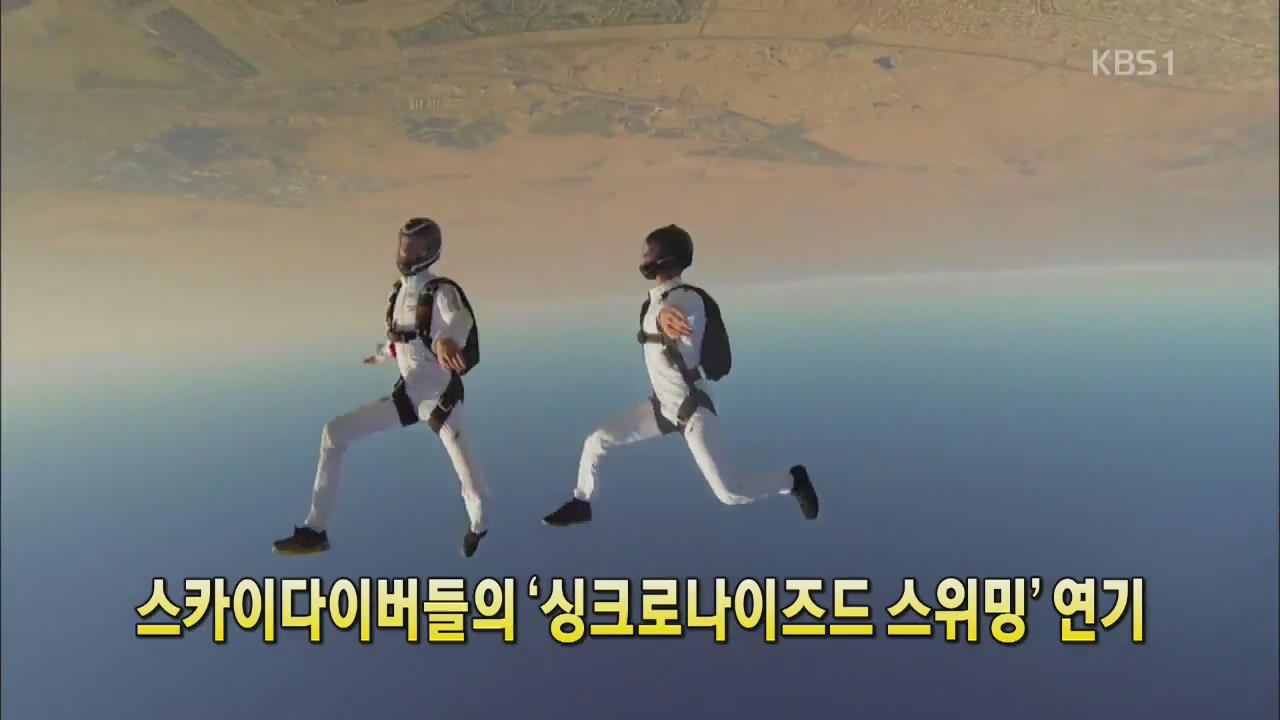 [세상의 창] 스카이다이버들의 ‘싱크로나이즈드 스위밍’ 연기