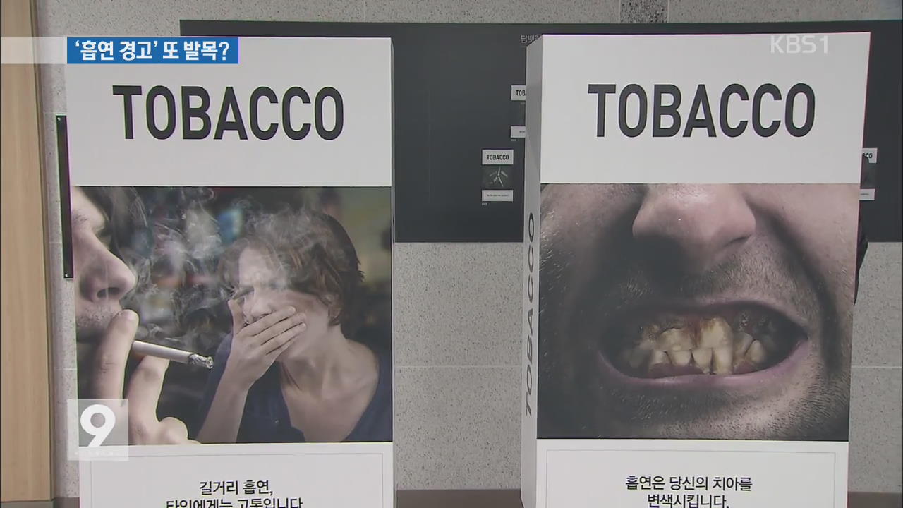 ‘담뱃갑 흡연 경고그림’ 도입…또 국회서 발목?