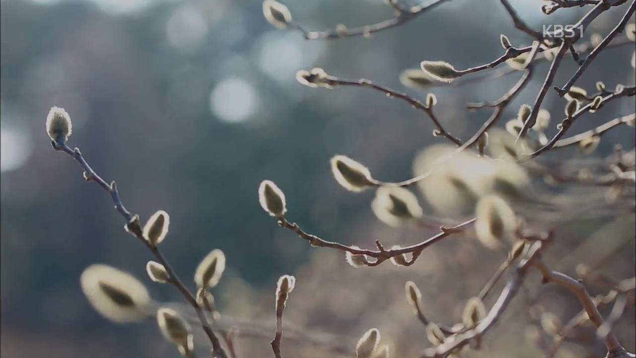 [뉴스광장 영상] 천리포수목원