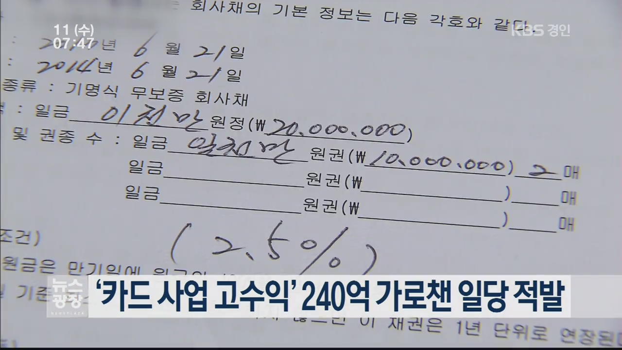 ‘카드 사업 고수익’ 240억 가로챈 일당 적발