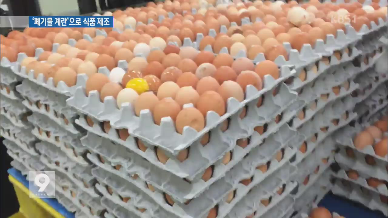 [단독] 농협 계란 공장, ‘폐기물 계란’ 모아 식품 원료 사용