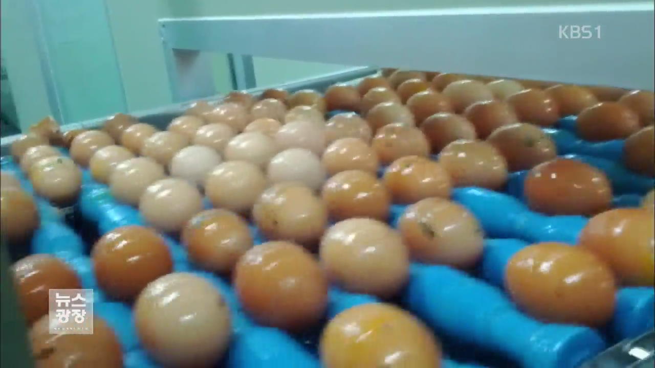 폐기물 계란 찌꺼기로 식품 제조…내사 착수